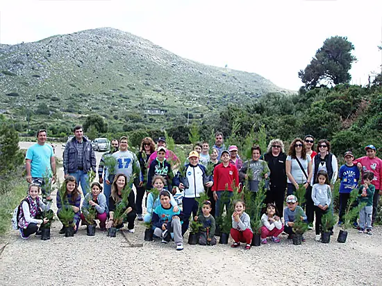 Μικρή Δεντροφύτευση