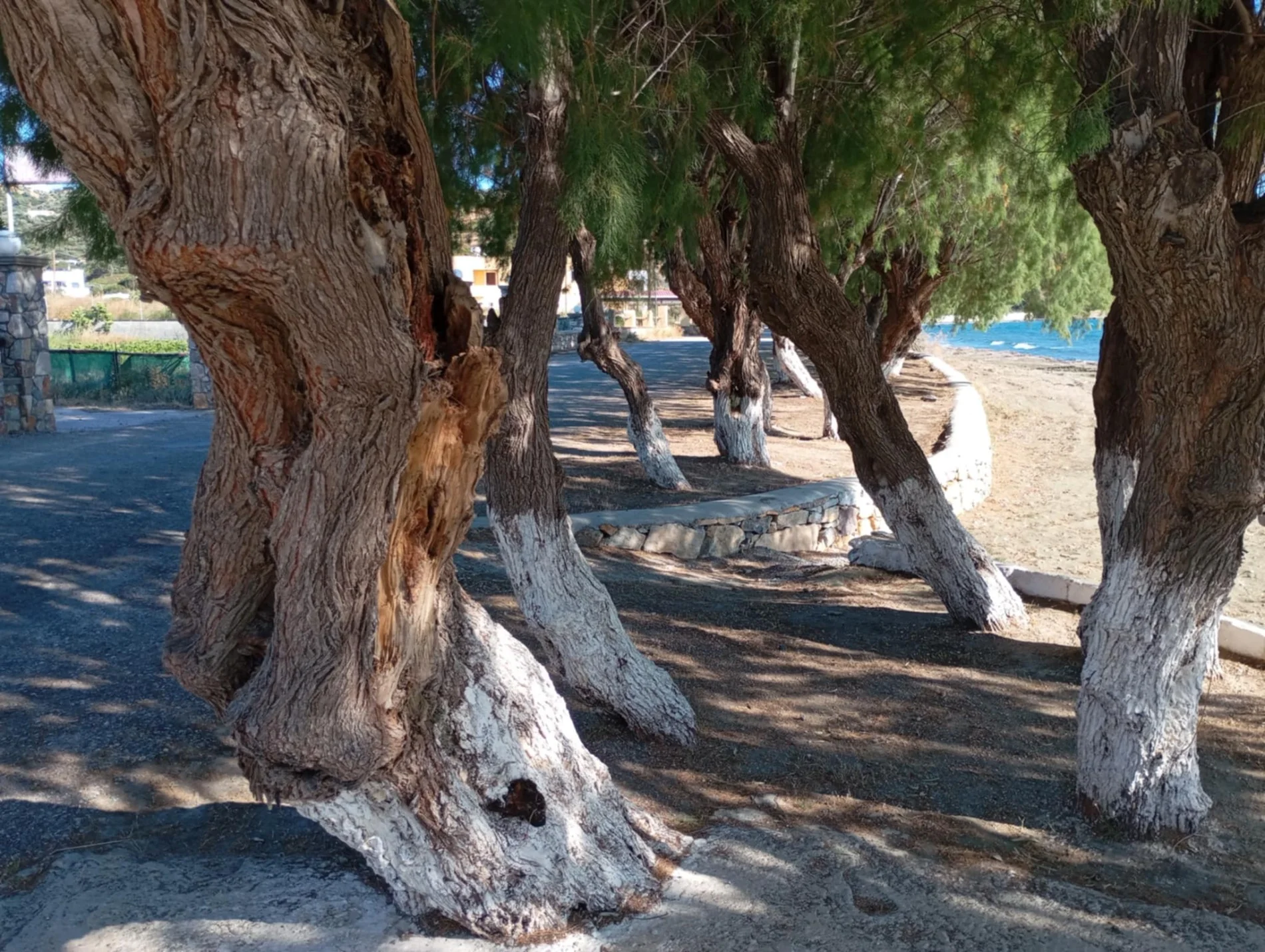 leros beach